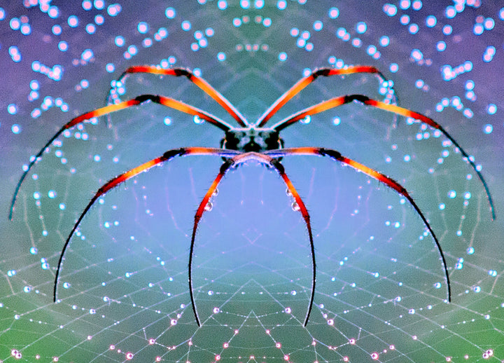 Ljuddämpande tavla - Plexus