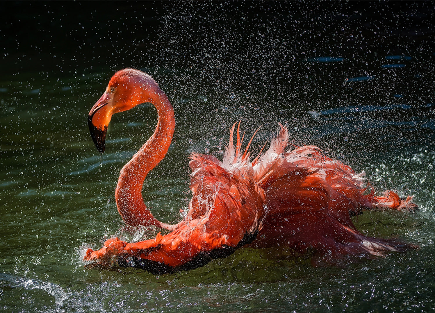 Ljuddämpande tavla - Splash