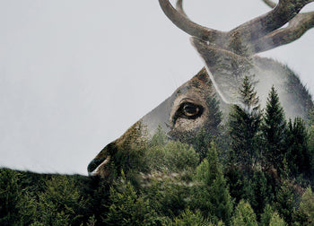 Ljuddämpande tavla - Antler