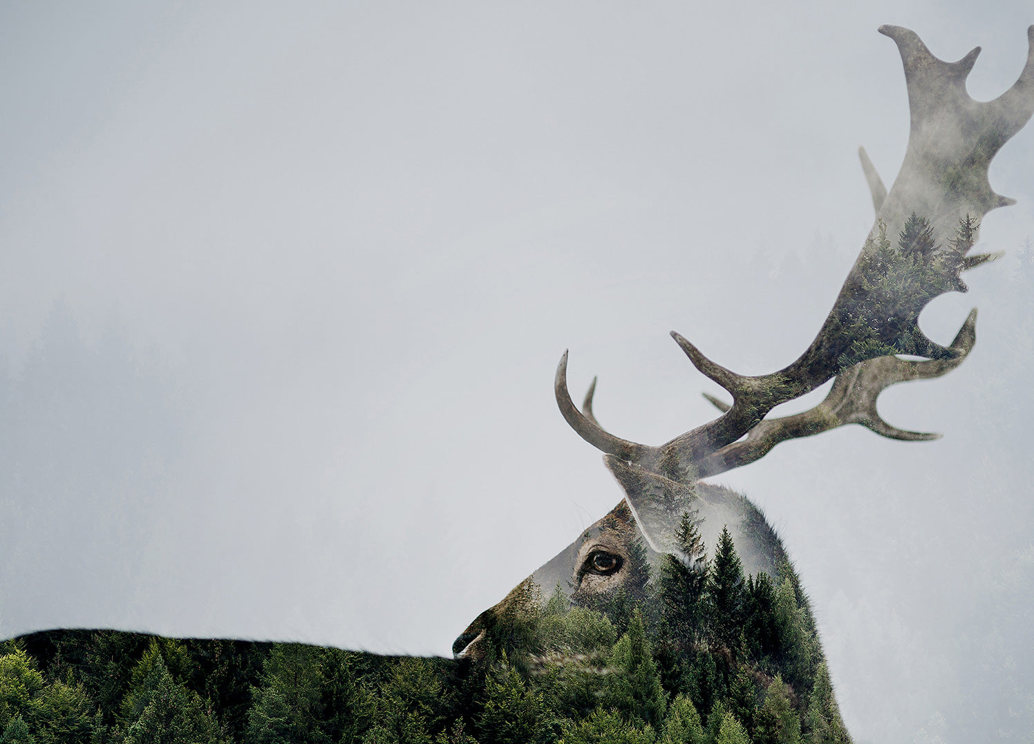 Ljuddämpande tavla - Antler