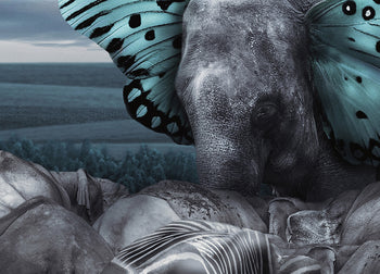 Ljuddämpande tavla - Fly on Wings of Dreams