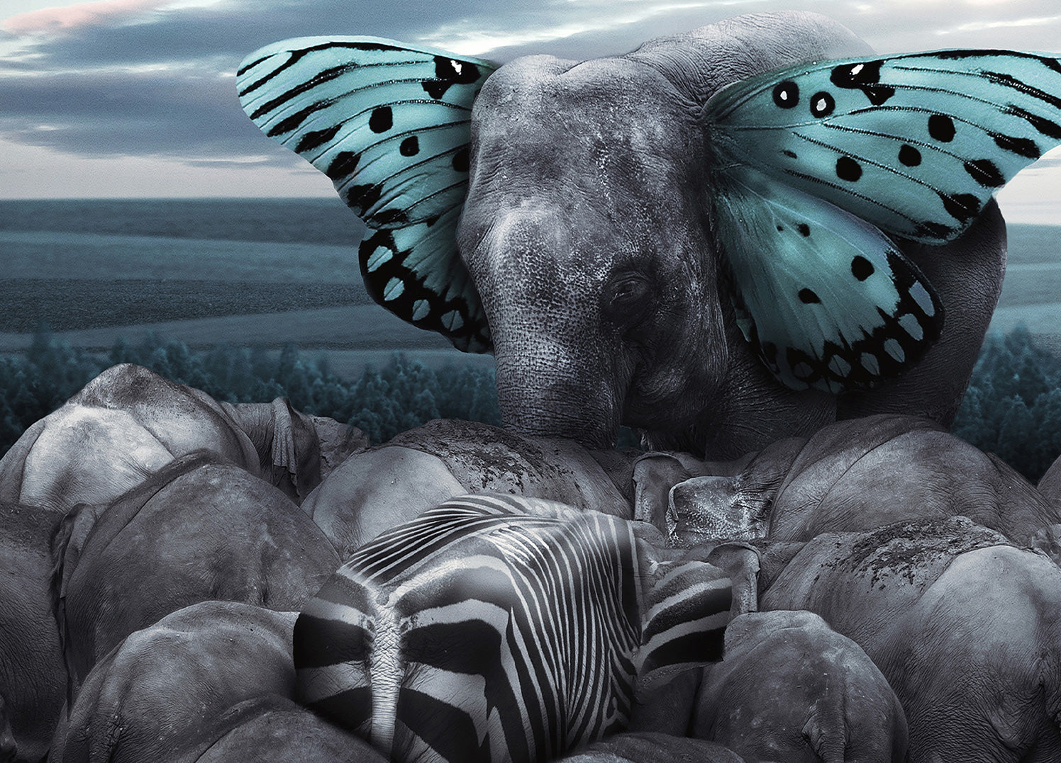 Ljuddämpande tavla - Fly on Wings of Dreams