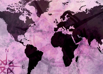 Ljuddämpande tavla - The world map "Pink World"