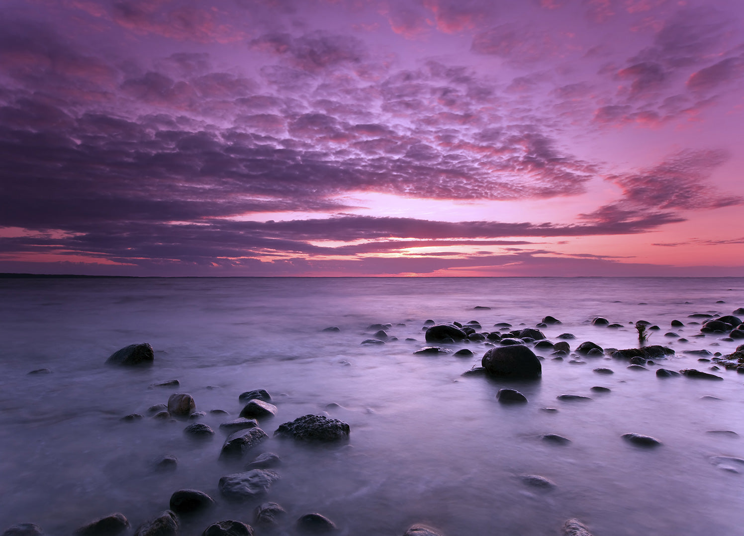 Ljuddämpande tavla - Violet Sea - Lila Hav Tavla