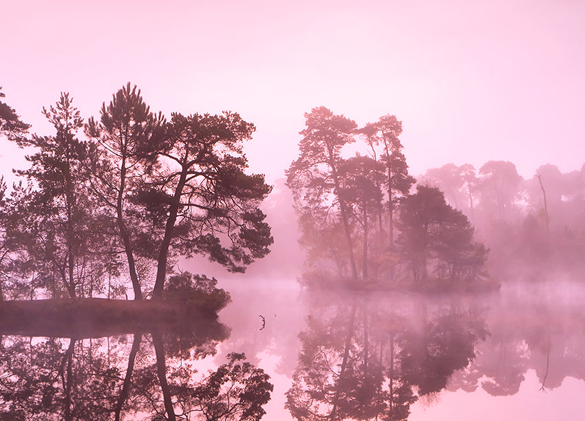 Ljuddämpande tavla - Misty Lake