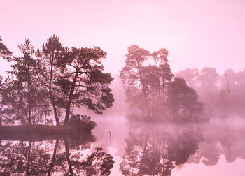 Ljuddämpande tavla - Misty Lake