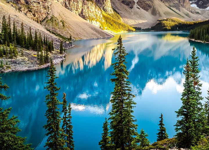 Ljuddämpande tavla - Moraine