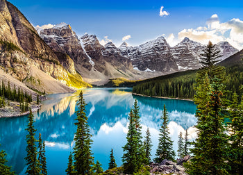Ljuddämpande tavla - Moraine