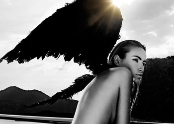 Ljuddämpande tavla - Dark Wings