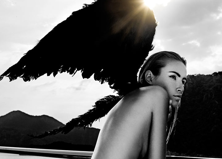 Ljuddämpande tavla - Dark Wings