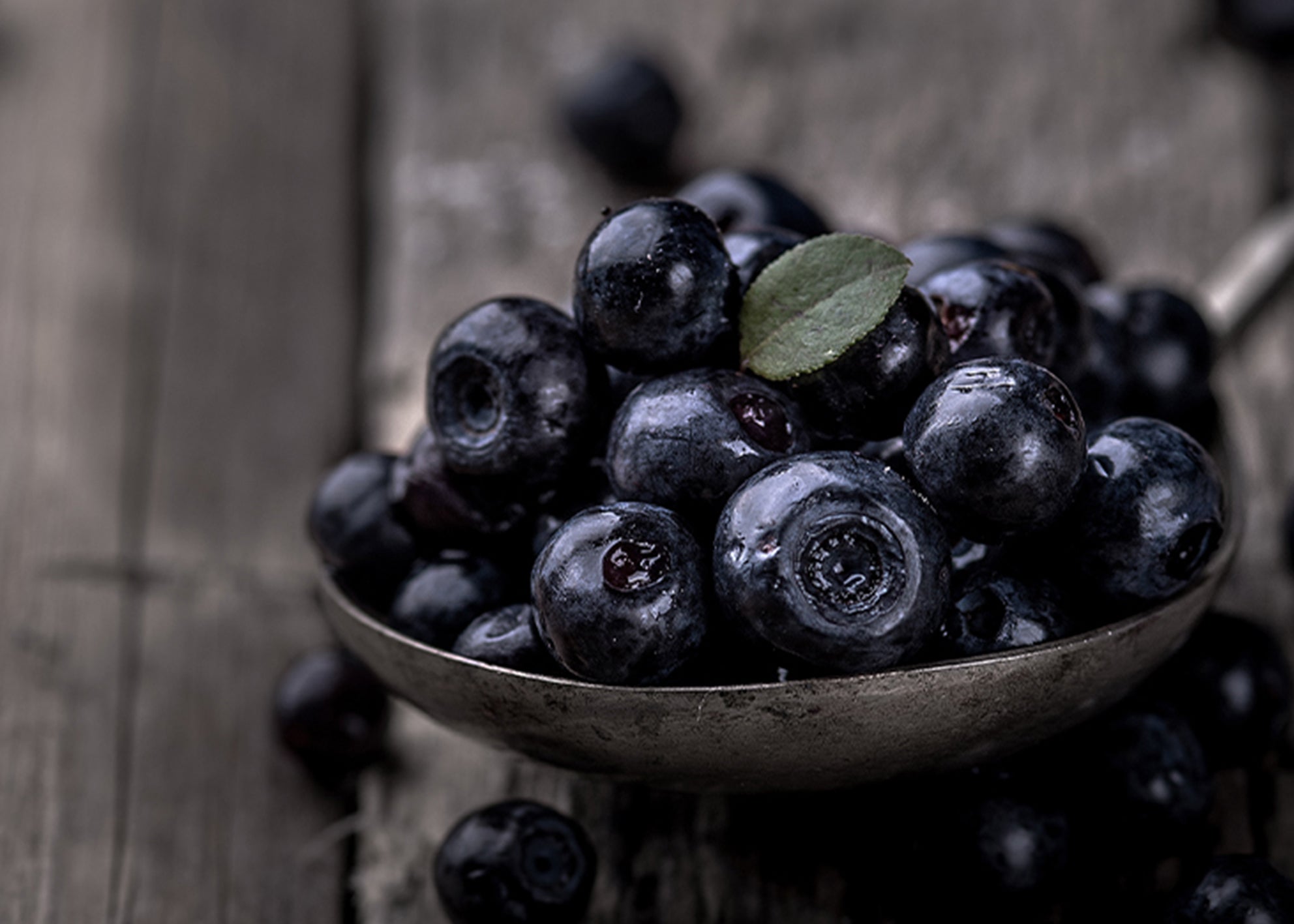 Ljuddämpande tavla - Blueberries