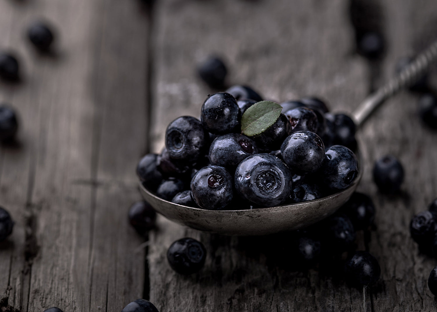 Ljuddämpande tavla - Blueberries