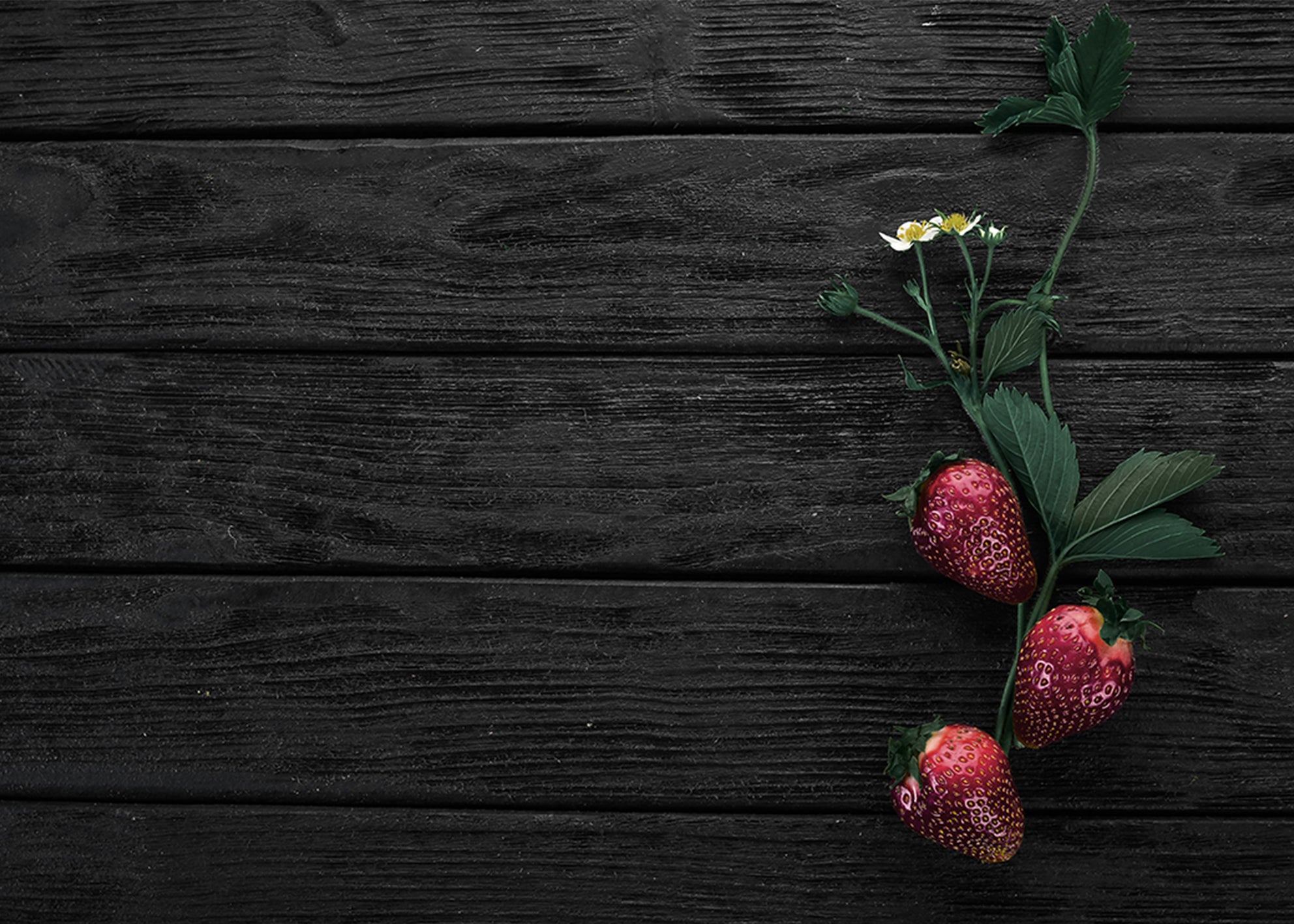 Ljuddämpande tavla - Strawberry
