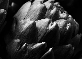Ljuddämpande tavla - Artichoke