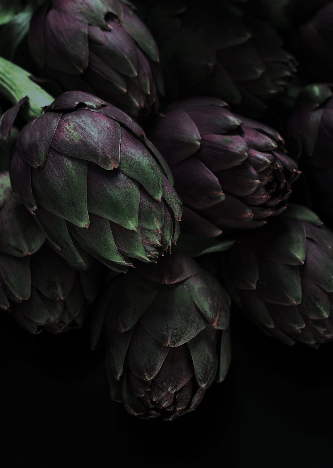 Ljuddämpande tavla - Artichokes