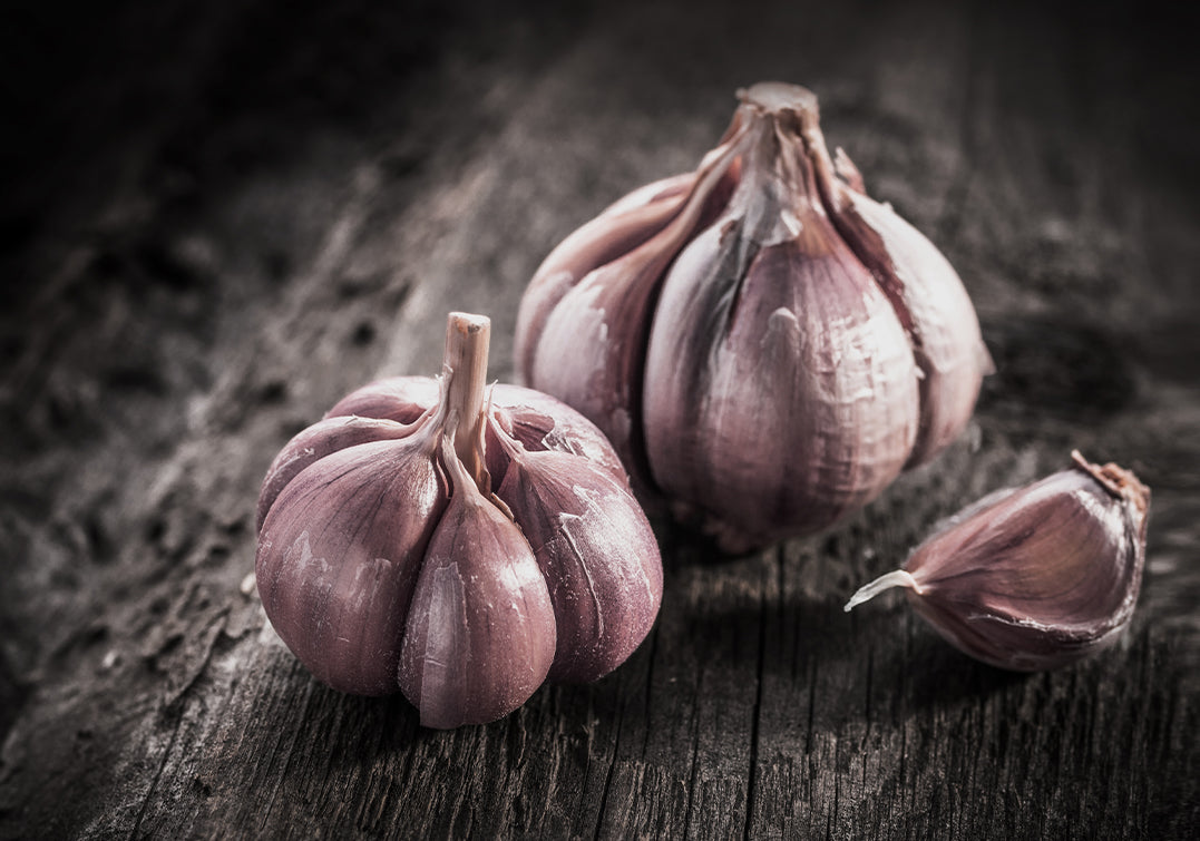 Ljuddämpande tavla - Garlic