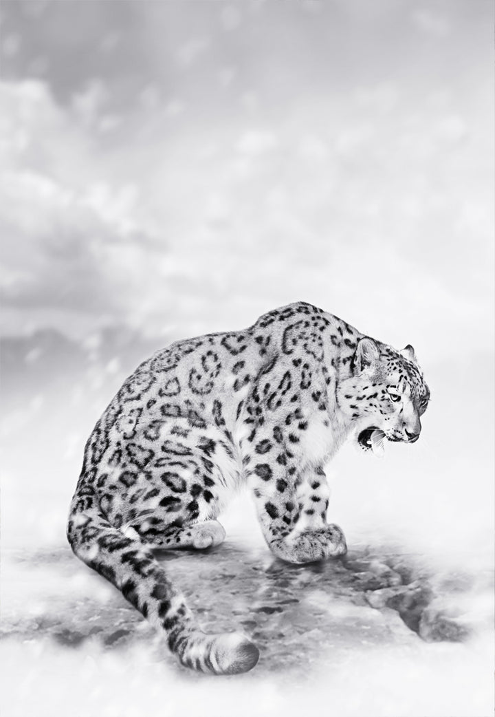 Ljuddämpande tavla - Predator