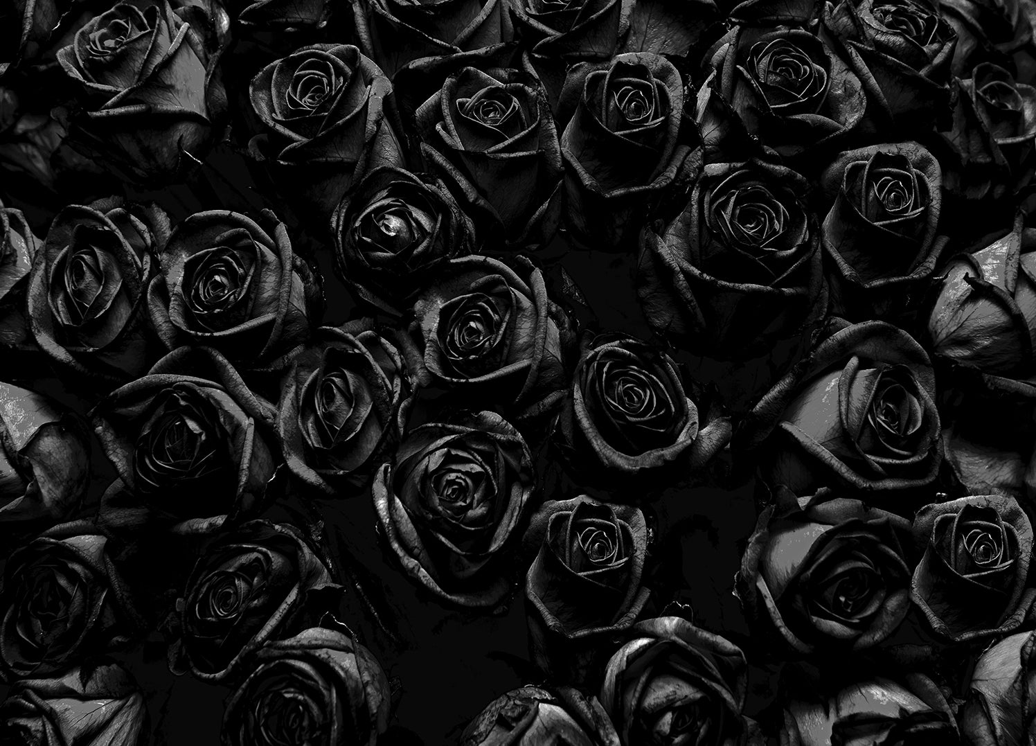 Ljuddämpande tavla - Roses
