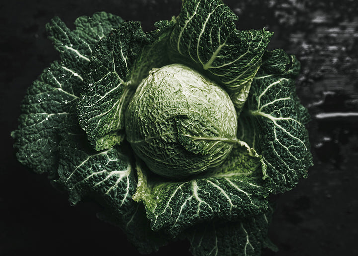Ljuddämpande tavla - Green Cabbage