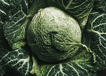 Ljuddämpande tavla - Green Cabbage