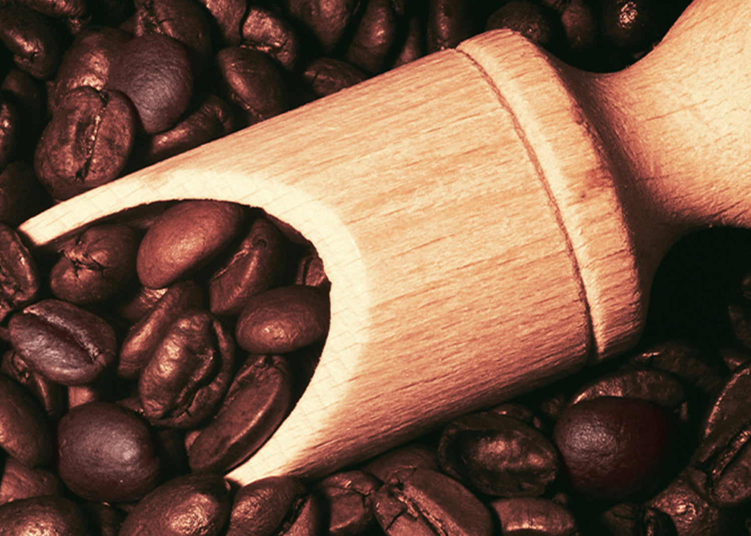 Ljuddämpande tavla - Coffee Beans