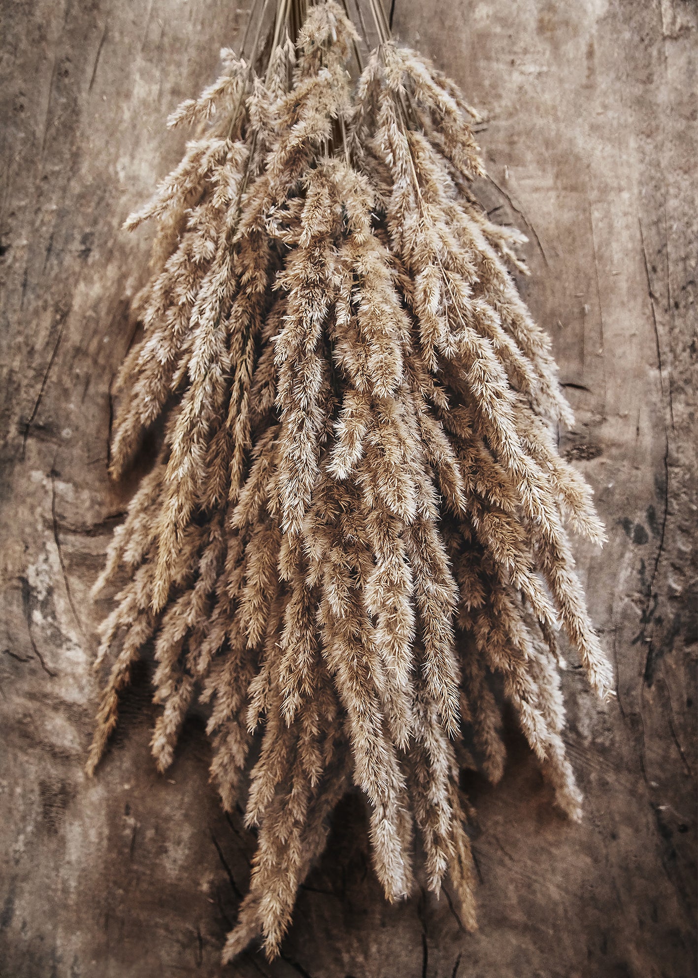 Ljuddämpande tavla - Nosegay of Autumn