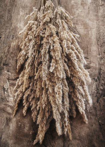 Ljuddämpande tavla - Nosegay of Autumn