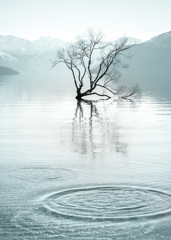 Ljuddämpande tavla - Quietude