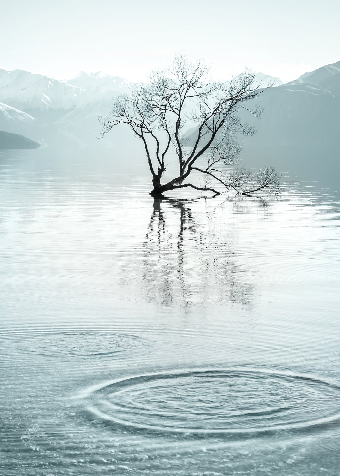 Ljuddämpande tavla - Quietude