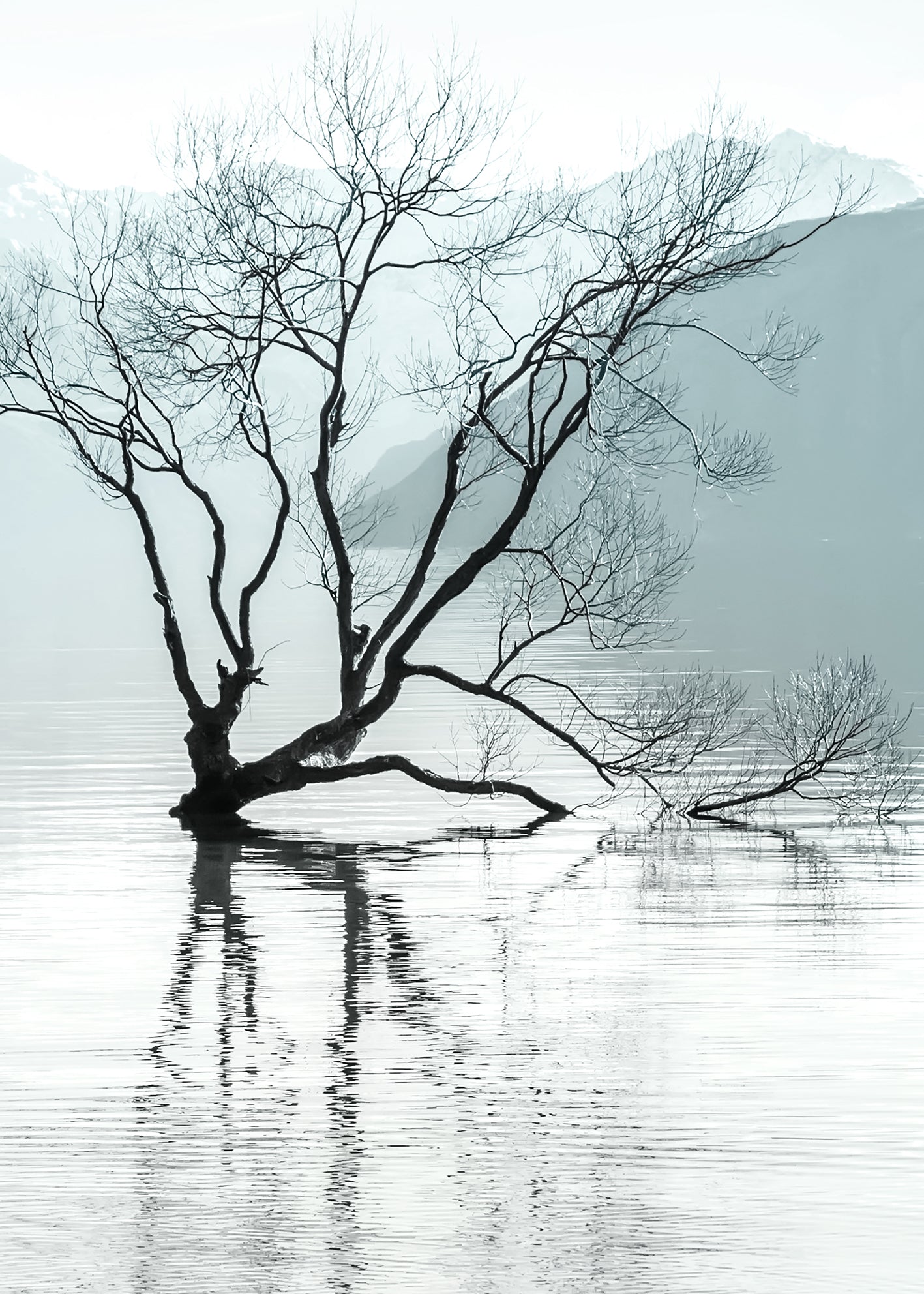 Ljuddämpande tavla - Quietude