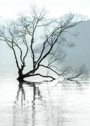 Ljuddämpande tavla - Quietude