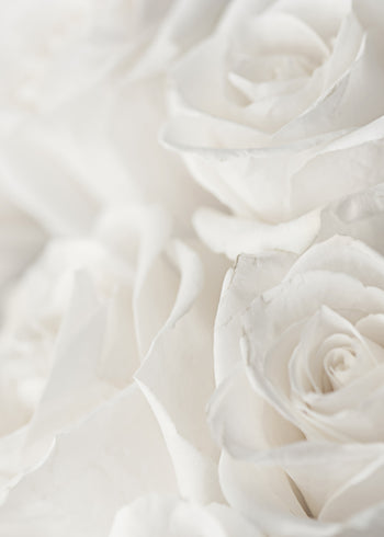 Ljuddämpande tavla - Charming Roses