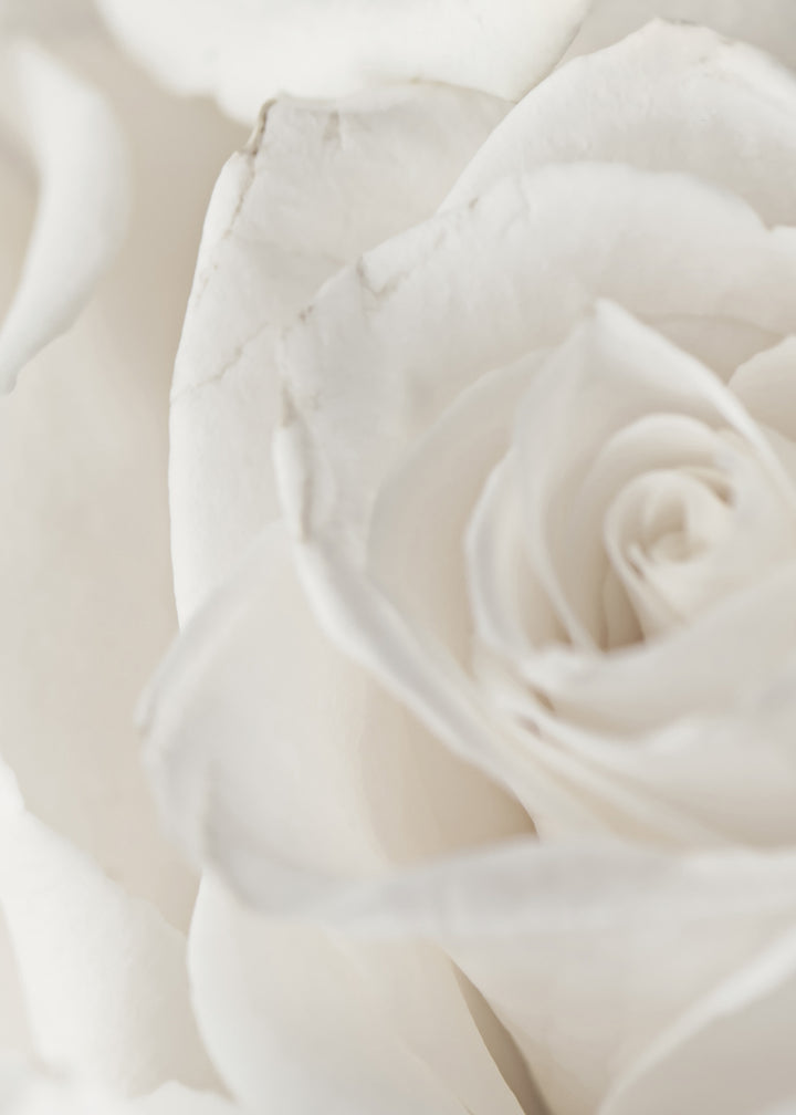 Ljuddämpande tavla - Charming Roses