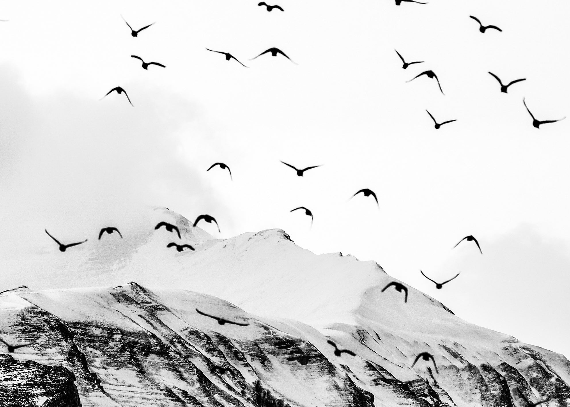 Ljuddämpande tavla - Mountains & Birds