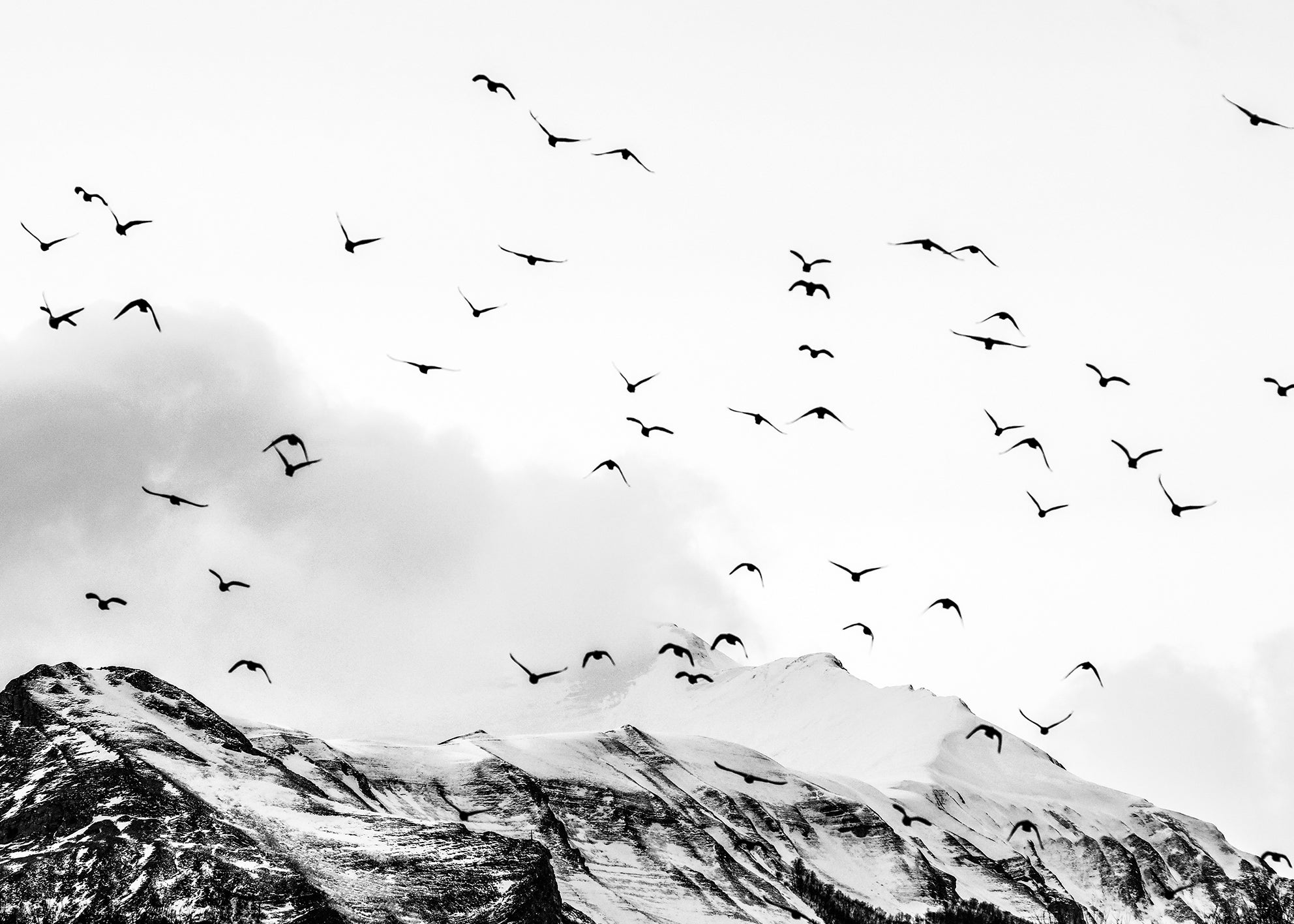 Ljuddämpande tavla - Mountains & Birds
