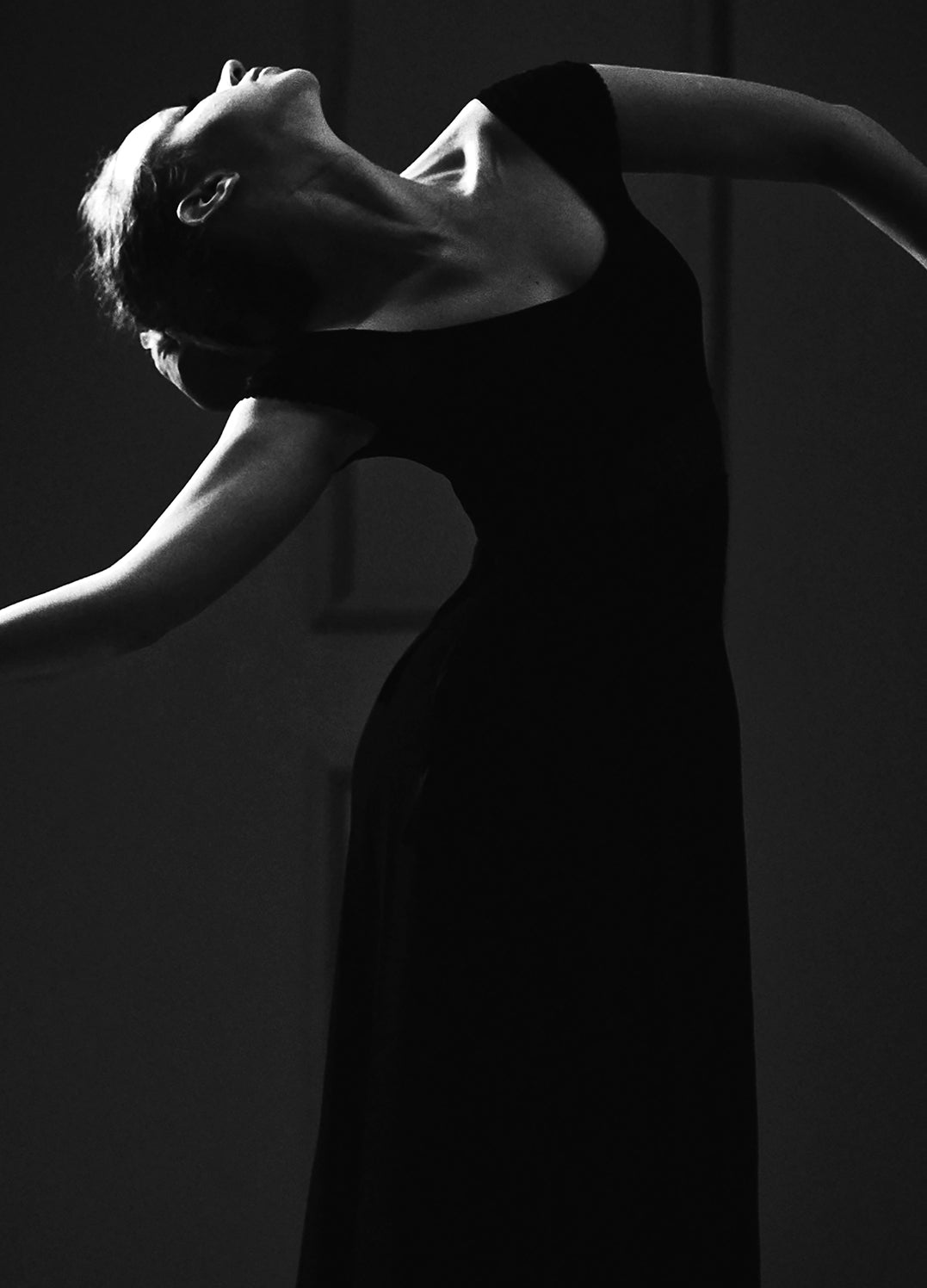Ljuddämpande tavla - Dancing in the Shadows