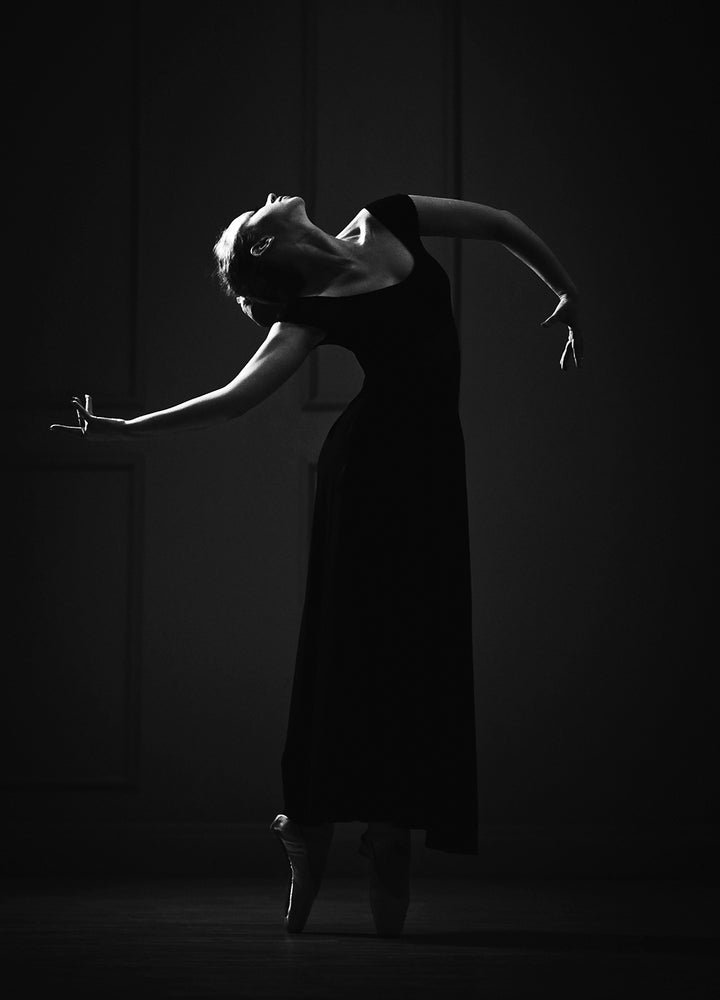 Ljuddämpande tavla - Dancing in the Shadows