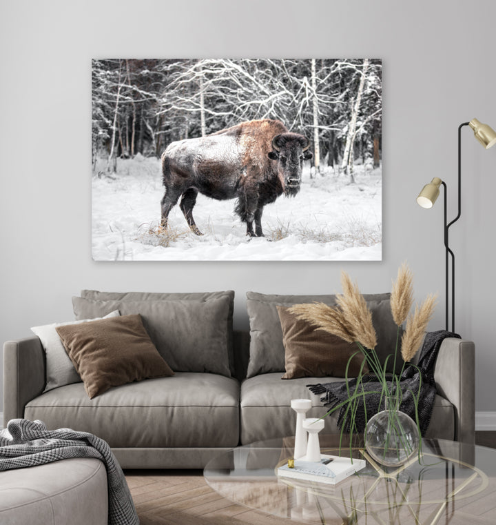 Ljuddämpande tavla - Bison