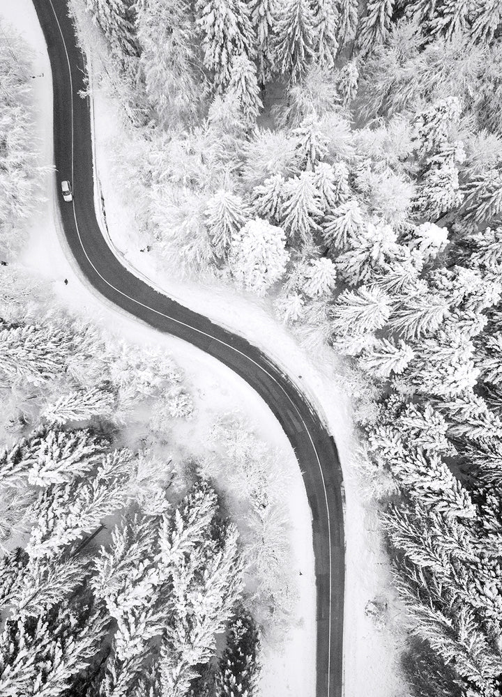 Ljuddämpande tavla - North