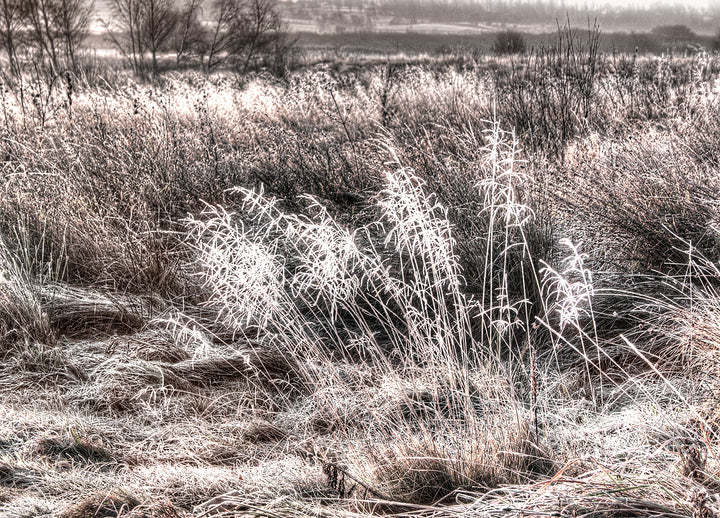 Ljuddämpande tavla - Winter Field