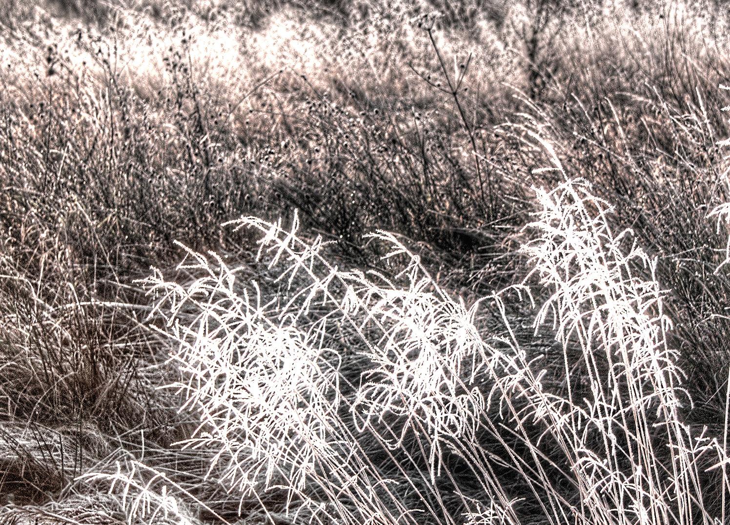 Ljuddämpande tavla - Winter Field