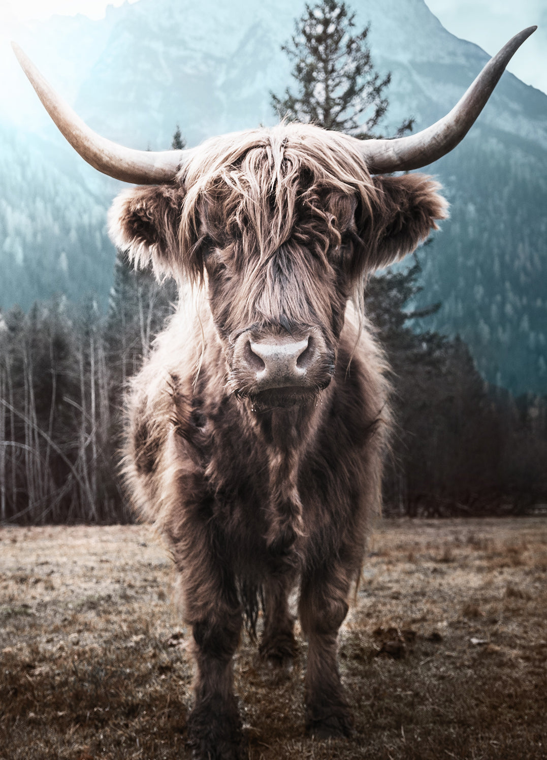 Ljuddämpande tavla - Horns