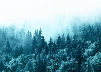 Ljuddämpande tavla - Misty Mountains