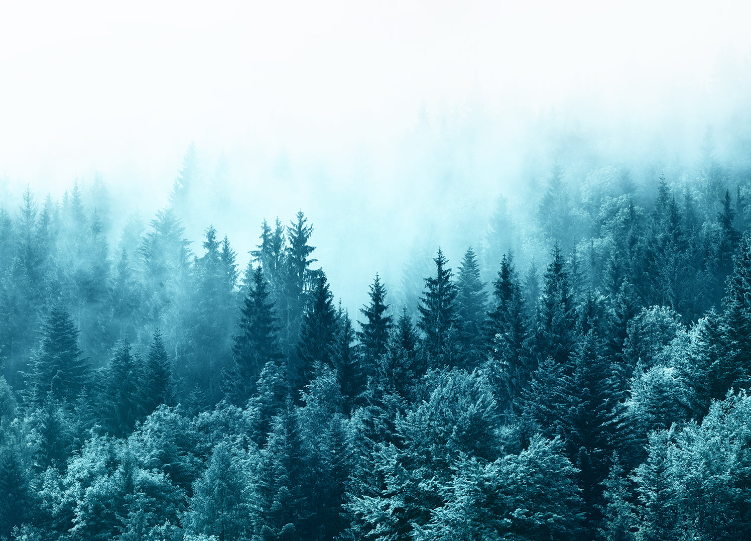 Ljuddämpande tavla - Misty Mountains