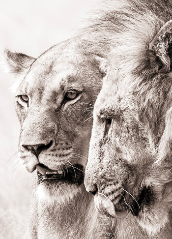 Ljuddämpande tavla - A King Will Always Protect His Queen
