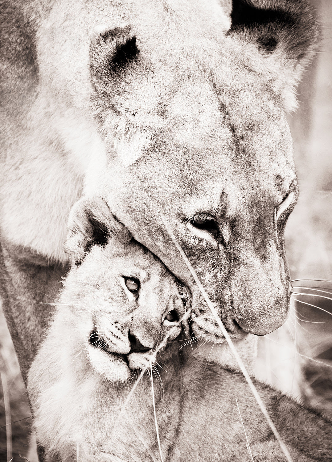 Ljuddämpande tavla - Maternal Love