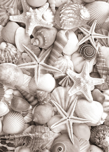 Ljuddämpande tavla - Sea Life