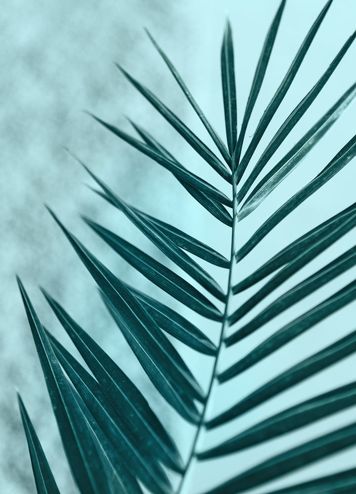 Ljuddämpande tavla - Palm