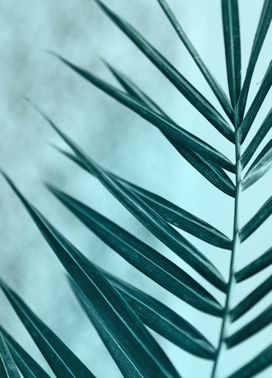 Ljuddämpande tavla - Palm