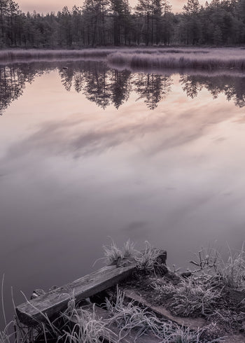 Ljuddämpande tavla - Winter Sunrise